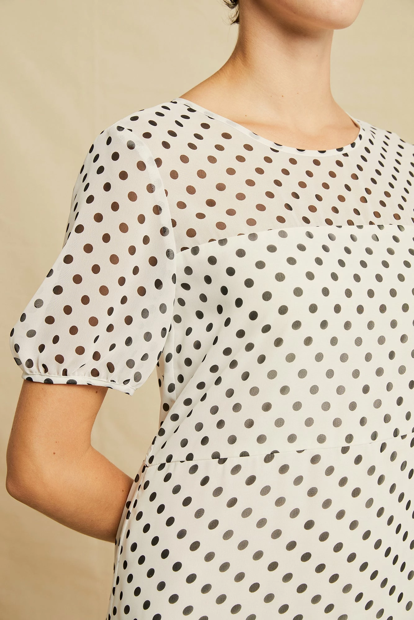 Naya Chiffon Dress 6 Naya Chiffon Dress - Image 4