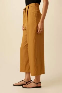 Eldora Tencel Wide Leg Pant - Camel -AMOUR VERT Sales 9360 Eldora Tencel Camel 2 2ffb16dc c3ae 4477 92d2 829a05c59dcd