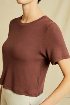 Tara Dream Rib Cropped Tee - Mocha